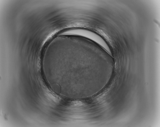 X0000096470392200801241433