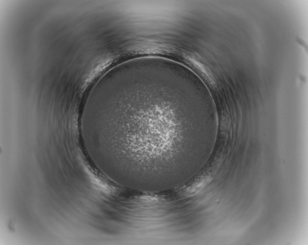 X0000096470394200801241433