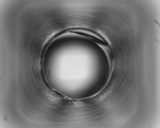 X0000096470395200801241433