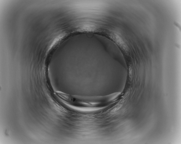 X0000096470396200801241433