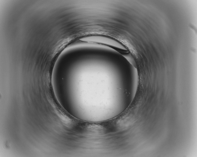 X0000096470397200801241433