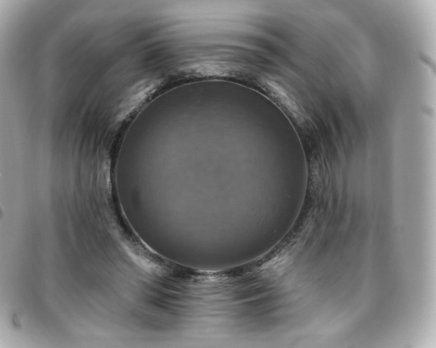 X0000096470398200801241433