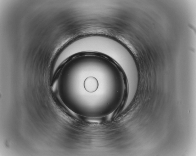 X0000096470399200801241433