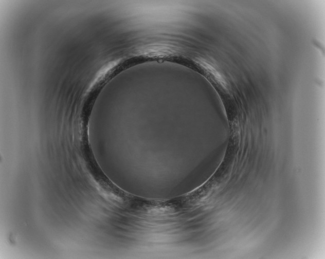 X0000096470400200801241433