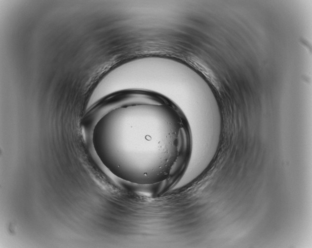 X0000096470401200801241433