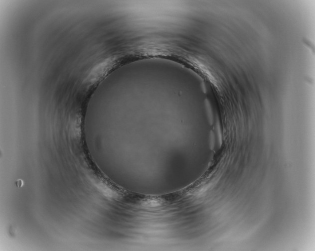 X0000096470402200801241433