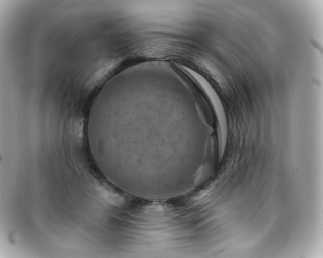 X0000096470404200801241433