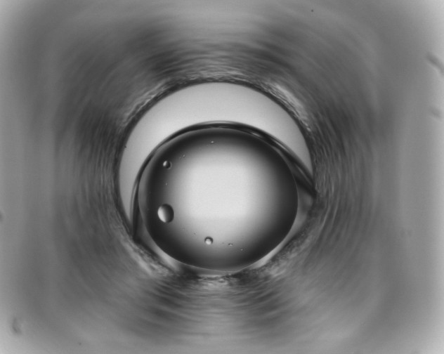 X0000096470405200801241433