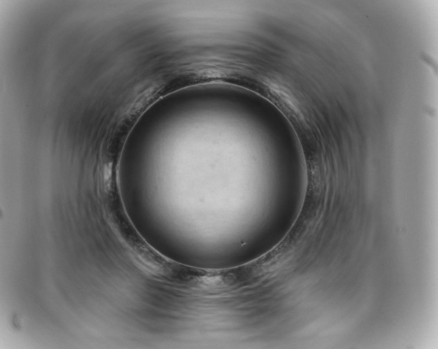 X0000096470406200801241433