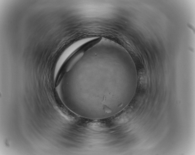 X0000096470408200801241433