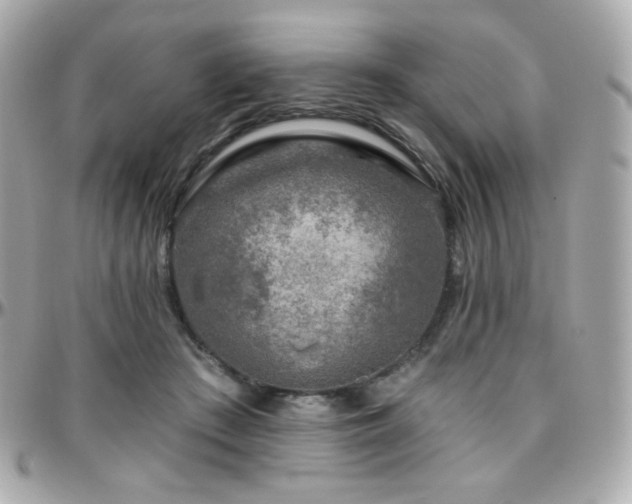 X0000096470409200801241433