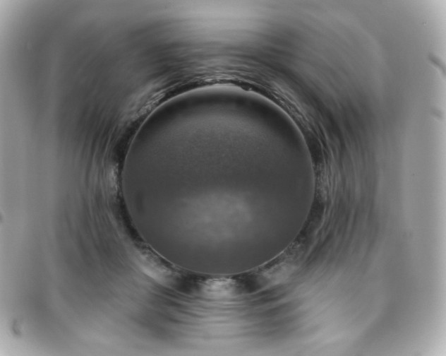 X0000096470410200801241433