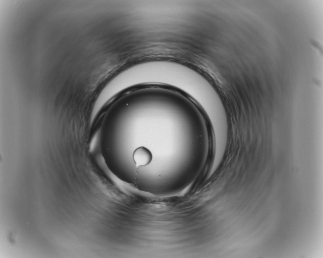 X0000096470411200801241433