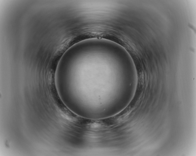 X0000096470412200801241433