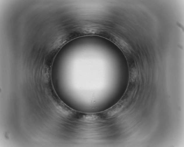 X0000096470414200801241433