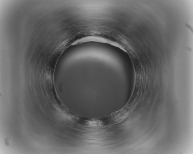 X0000096470415200801241433