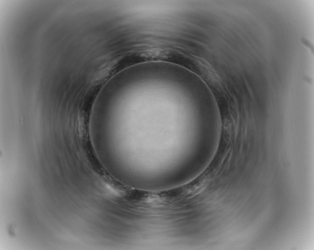 X0000096470416200801241433