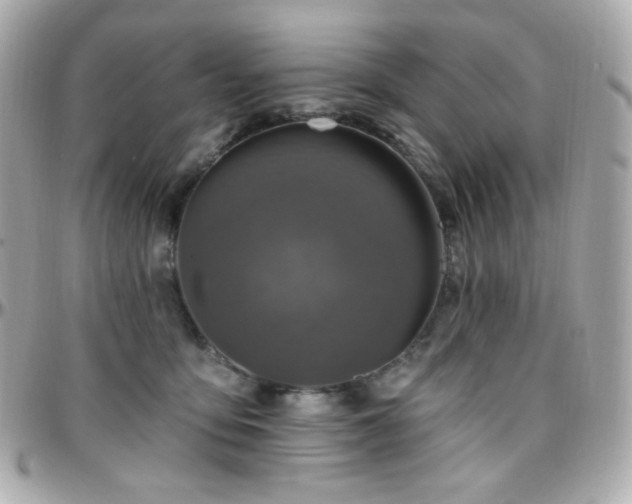 X0000096470419200801241433