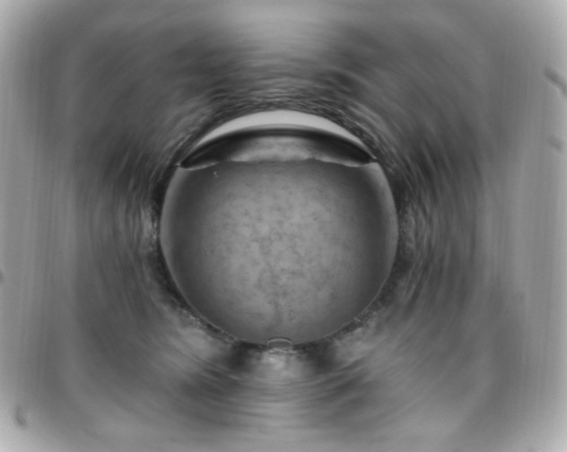 X0000096470420200801241433