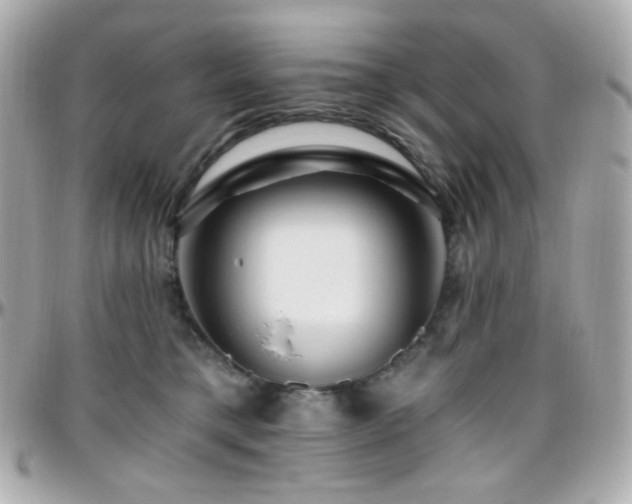 X0000096470421200801241433