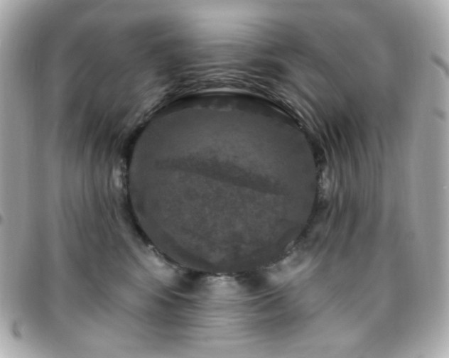 X0000096470424200801241433