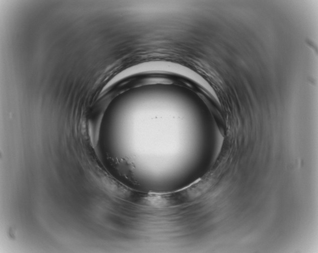 X0000096470425200801241433