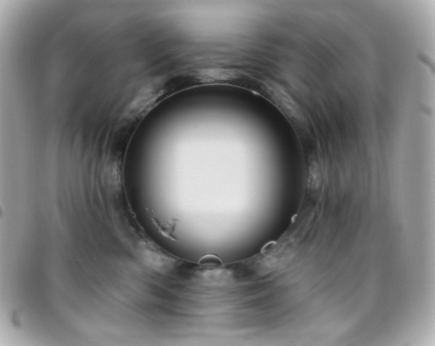 X0000096470426200801241433