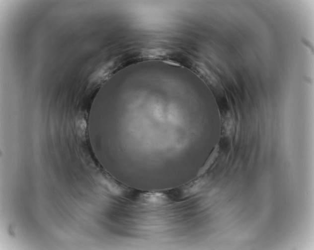 X0000096470427200801241433