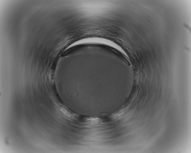 X0000096470428200801241433