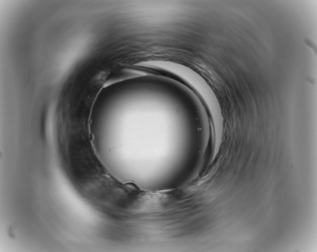 X0000096470429200801241433