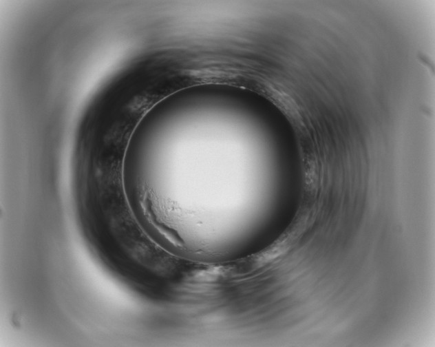 X0000096470430200801241433