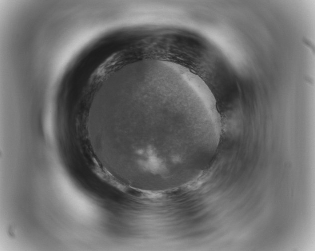 X0000096470431200801241433