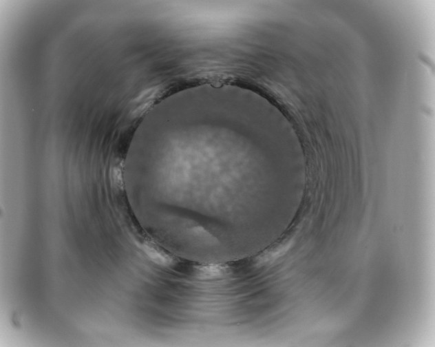 X0000096470432200801241433