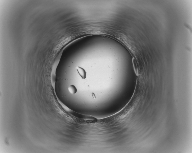 X0000096470433200801241432