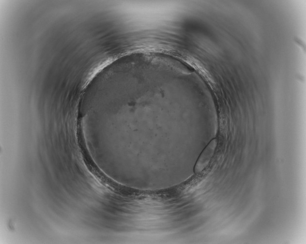 X0000096470434200801241432