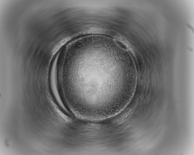 X0000096470437200801241432