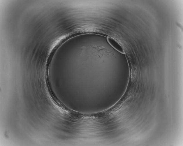 X0000096470438200801241432