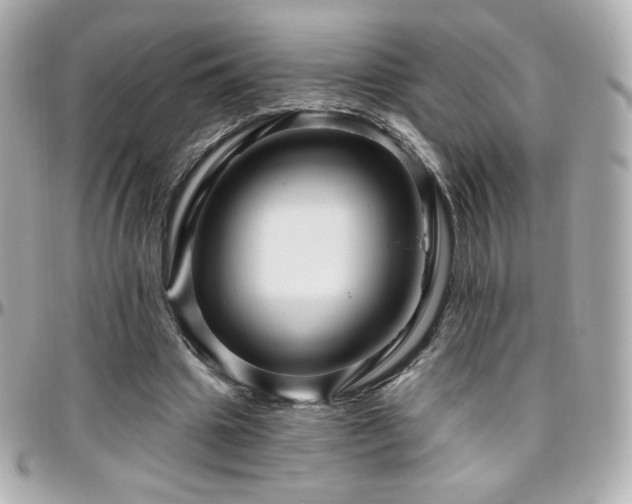 X0000096470441200801241432