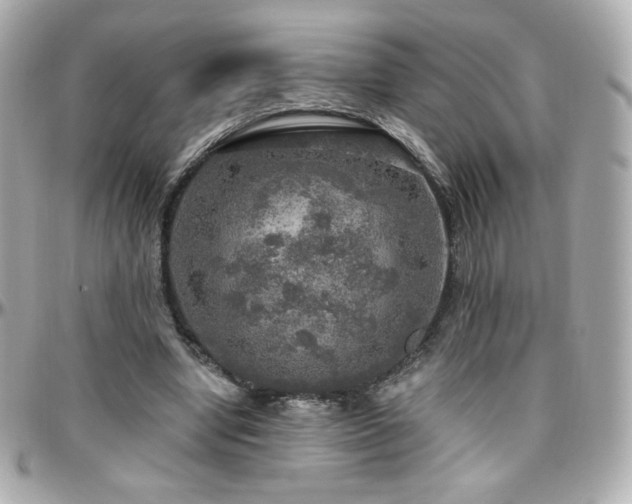 X0000096470442200801241432