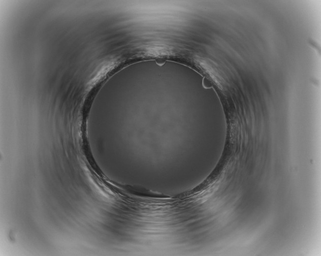 X0000096470443200801241432