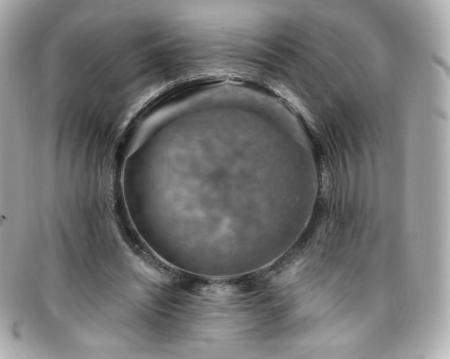 X0000096470444200801241432