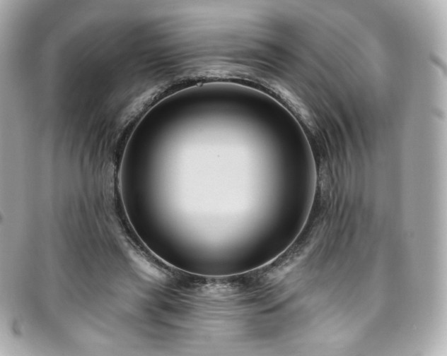 X0000096470445200801241432