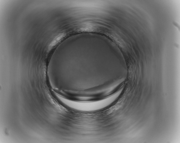 X0000096470446200801241432