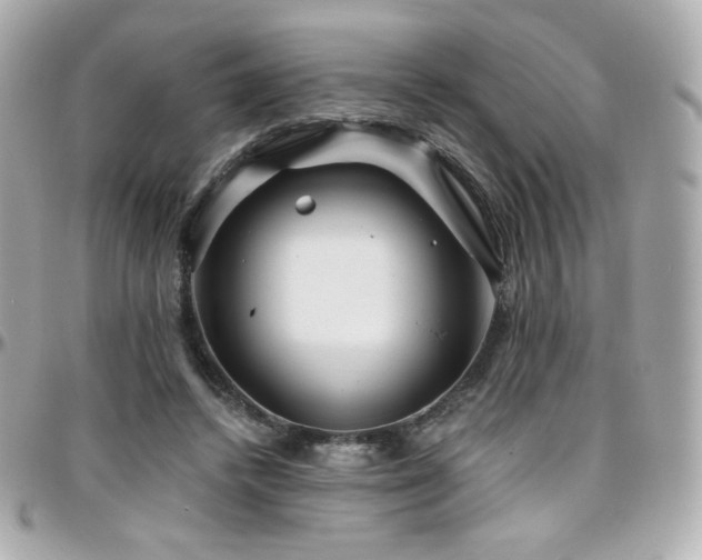 X0000096470448200801241432