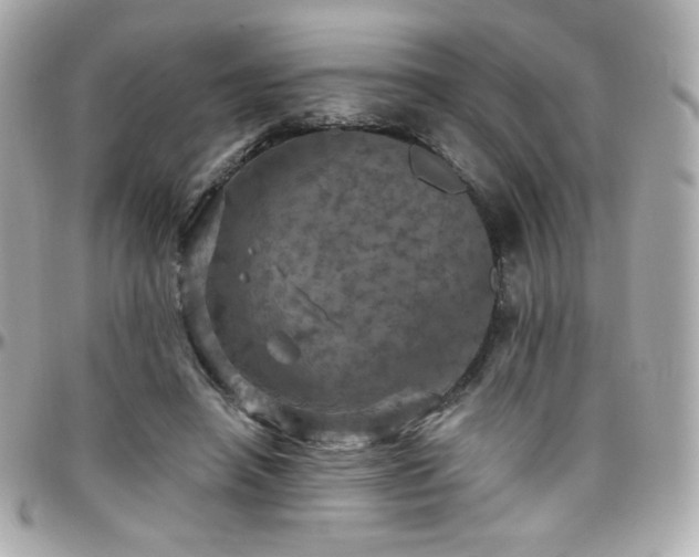 X0000096470450200801241432