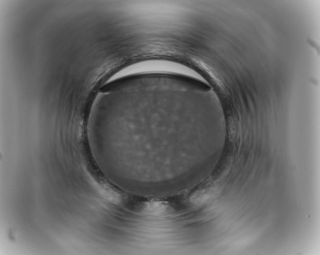 X0000096470451200801241432