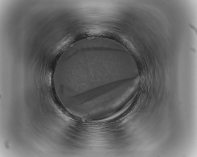 X0000096470454200801241432