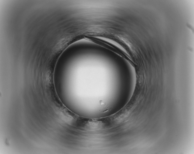 X0000096470455200801241432