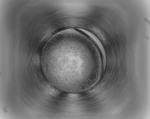 X0000096470457200801241432