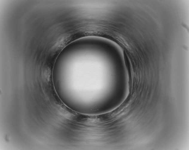 X0000096470458200801241432